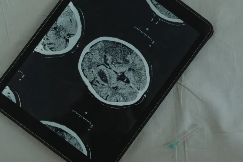 Half a Second to Win or Lose: How Your Brain Picks a Winner Before You've Read a Single Word